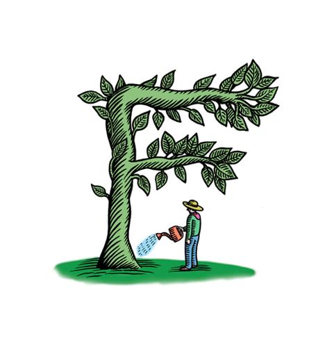 Illustrazione-albero-ad-F