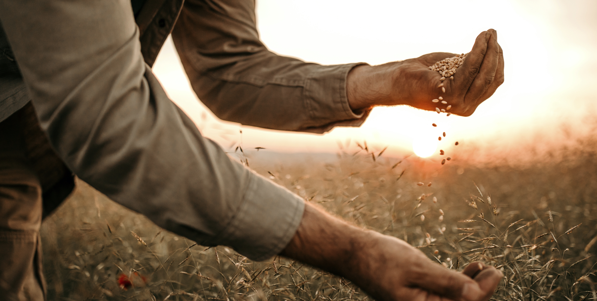 fiorentini-valori-materie-prime